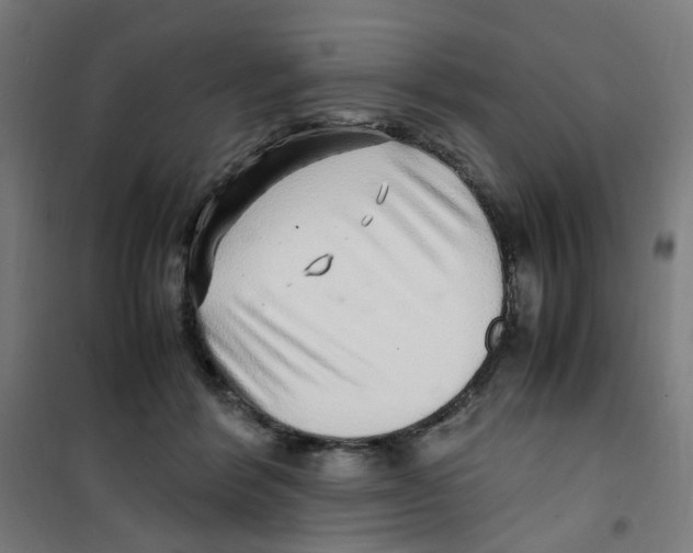 X0000100340412200807031303