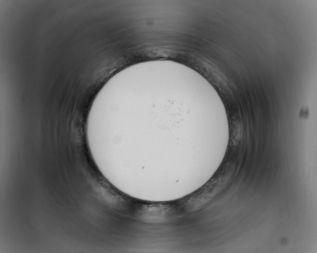 X0000100340414200807031303