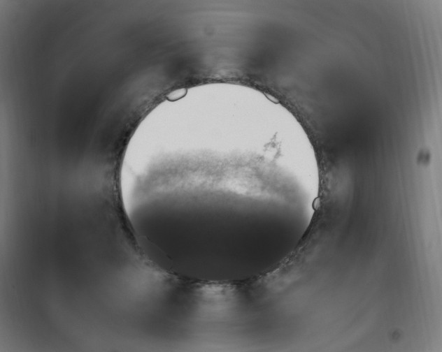 X0000100340415200807031303