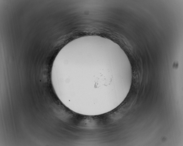 X0000100340416200807031303