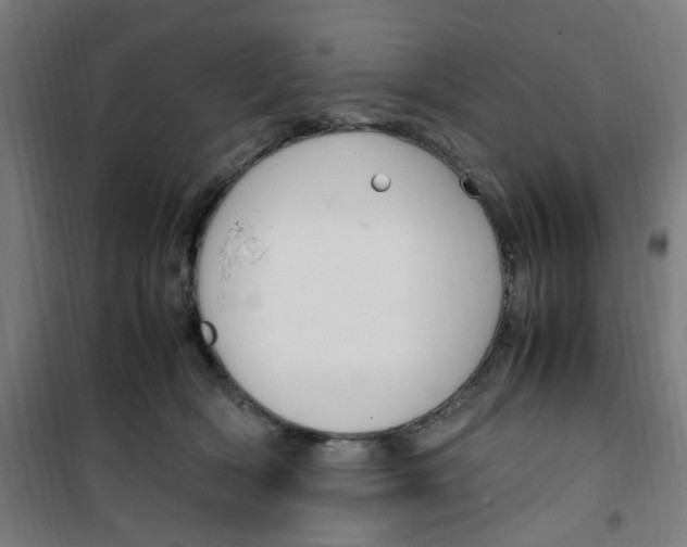 X0000100340418200807031303