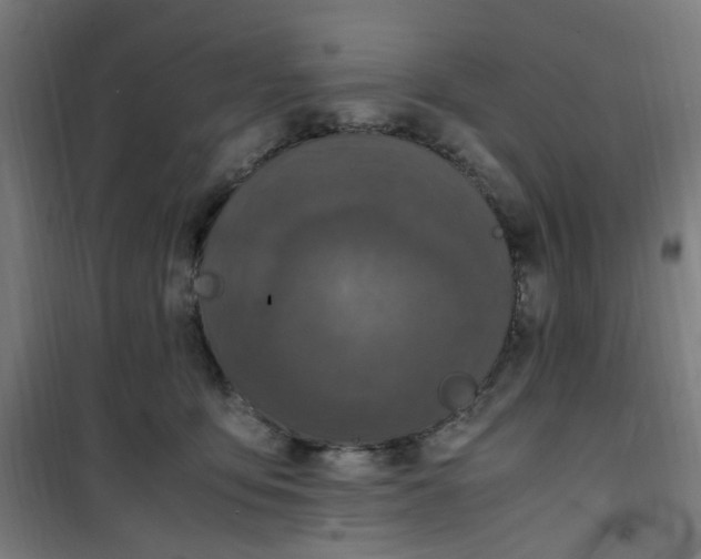 X0000100340419200807031303