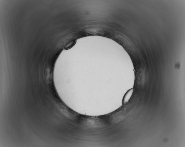 X0000100340420200807031303