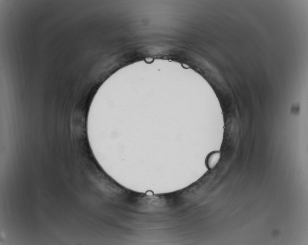 X0000100340421200807031303