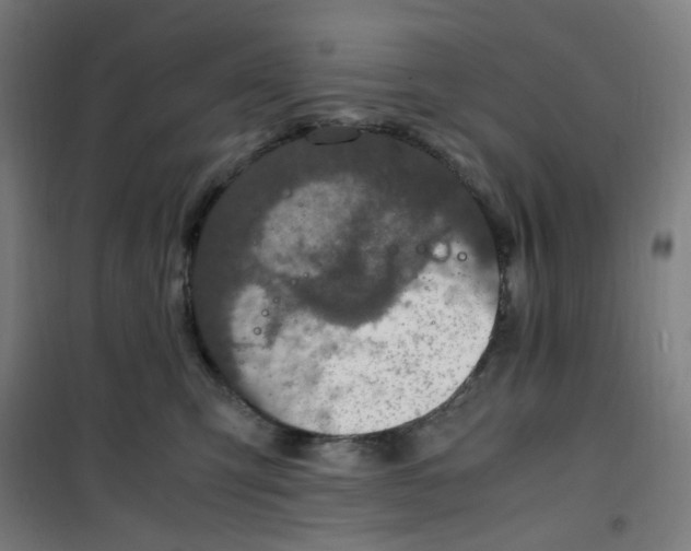 X0000100340423200807031303