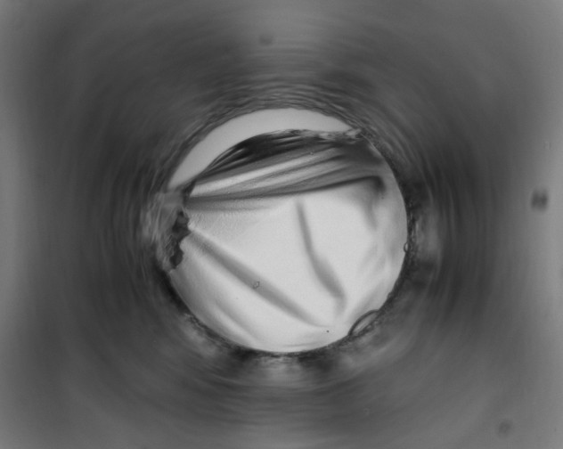 X0000100340424200807031303