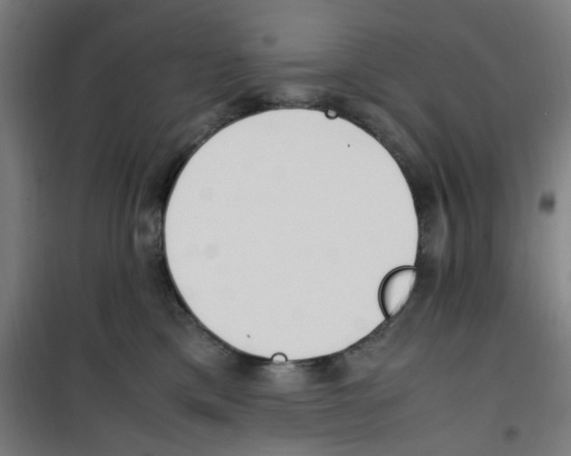 X0000100340425200807031303