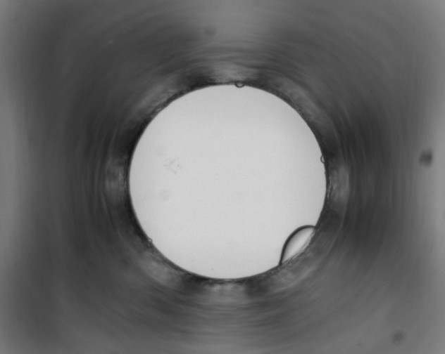 X0000100340426200807031303