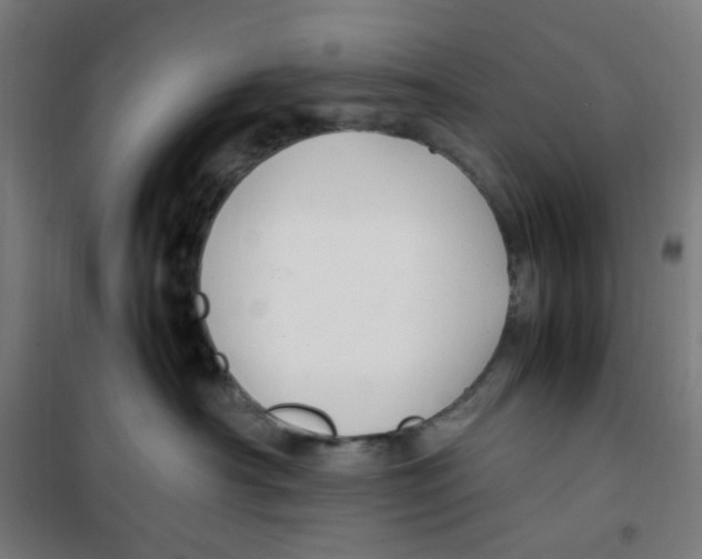 X0000100340430200807031303