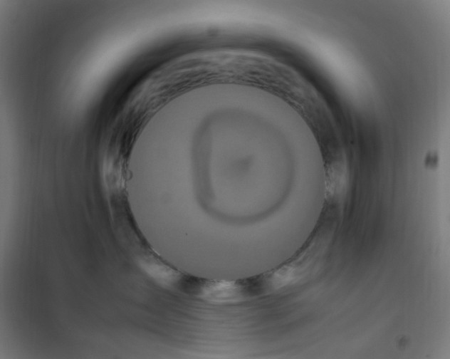 X0000100340431200807031303