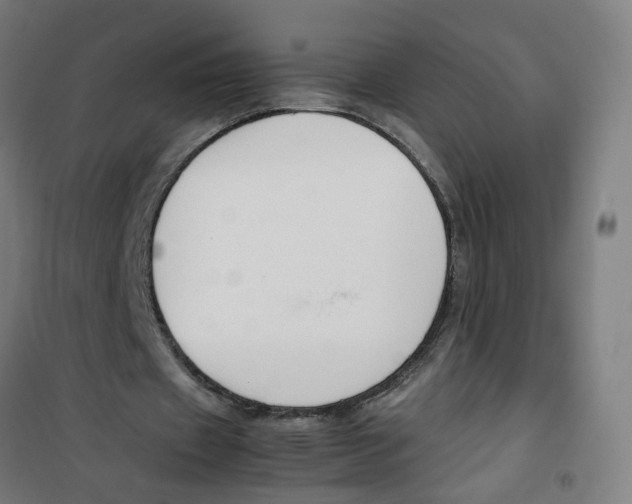 X0000100340433200807031302