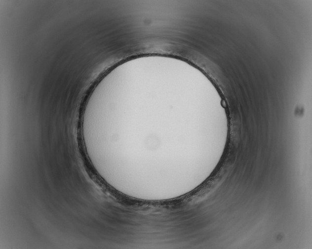 X0000100340434200807031302