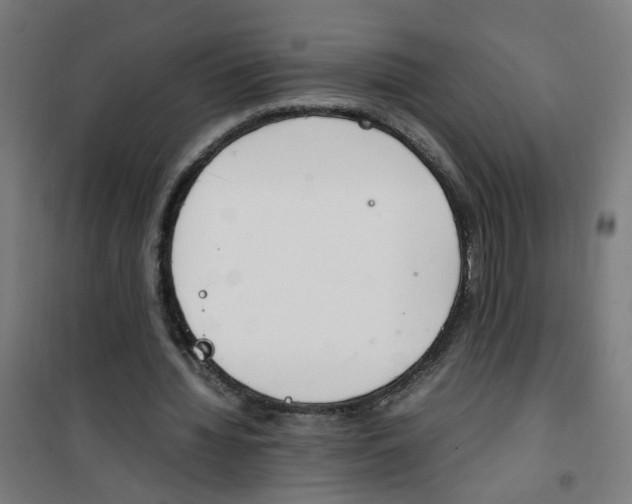 X0000100340436200807031302