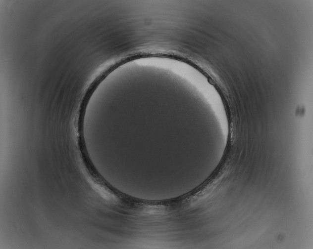 X0000100340438200807031302