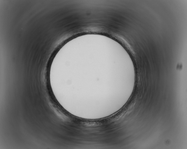 X0000100340439200807031302