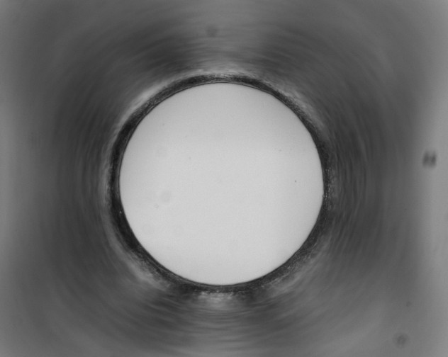 X0000100340440200807031302