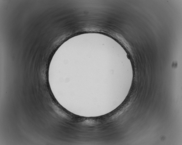 X0000100340441200807031302