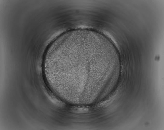 X0000100340443200807031302