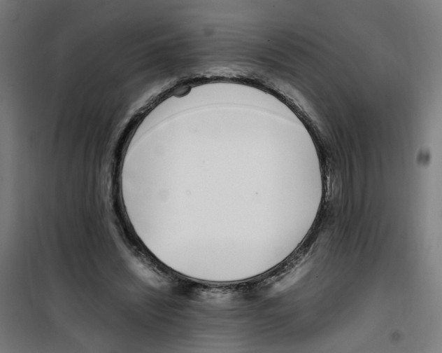 X0000100340444200807031302