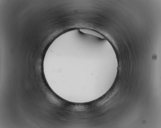 X0000100340445200807031302