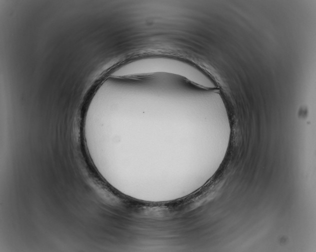 X0000100340446200807031302