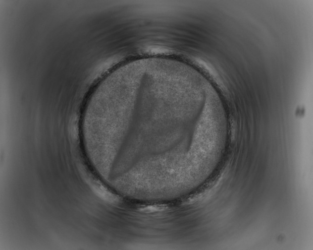 X0000100340447200807031302