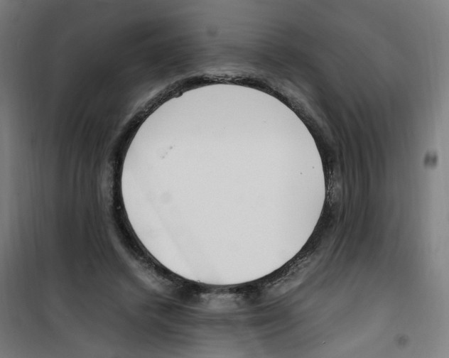 X0000100340448200807031302