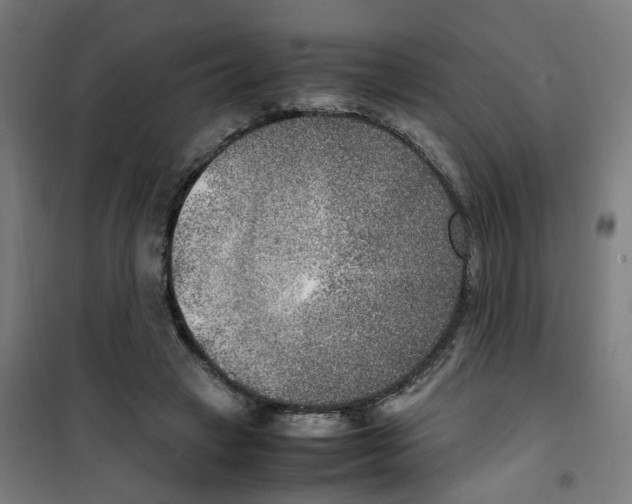 X0000100340449200807031302