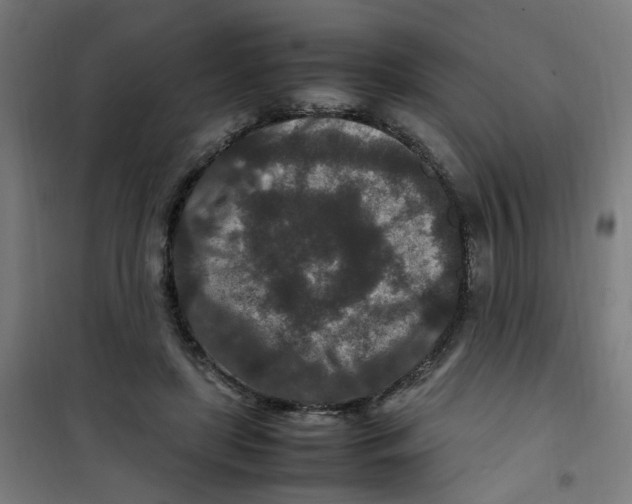 X0000100340451200807031302