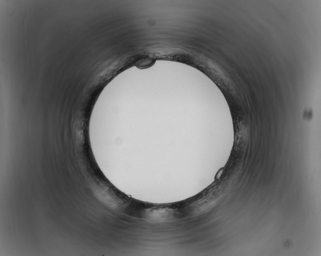 X0000100340452200807031302