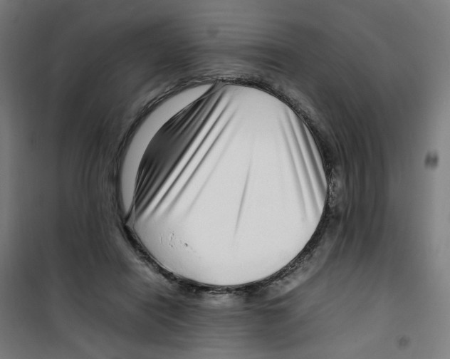 X0000100340454200807031302