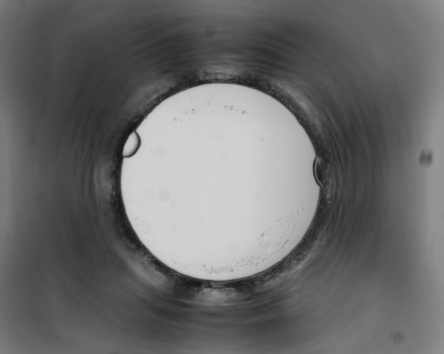 X0000100340455200807031302