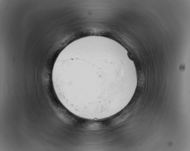 X0000100340456200807031302