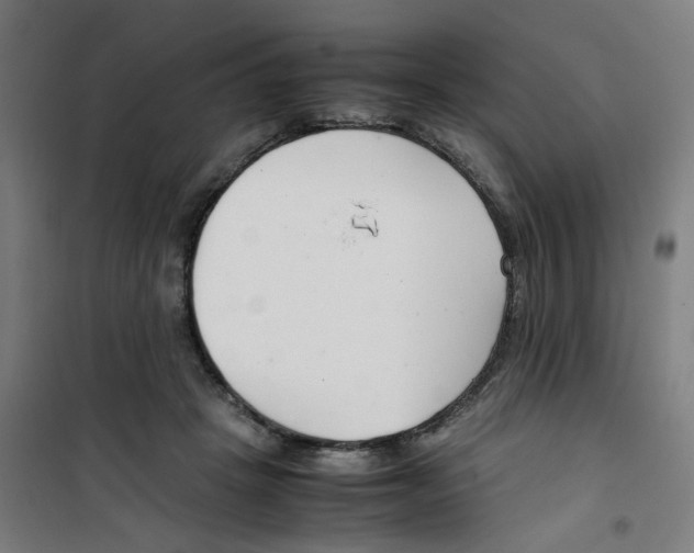 X0000100340457200807031302