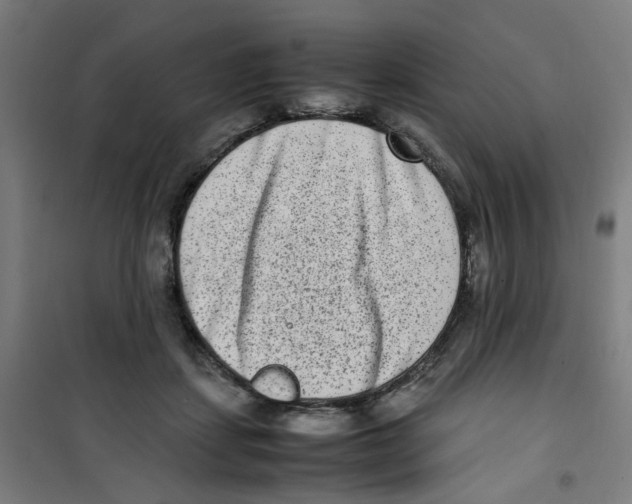 X0000100340459200807031302