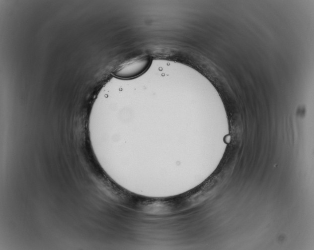 X0000100340460200807031302