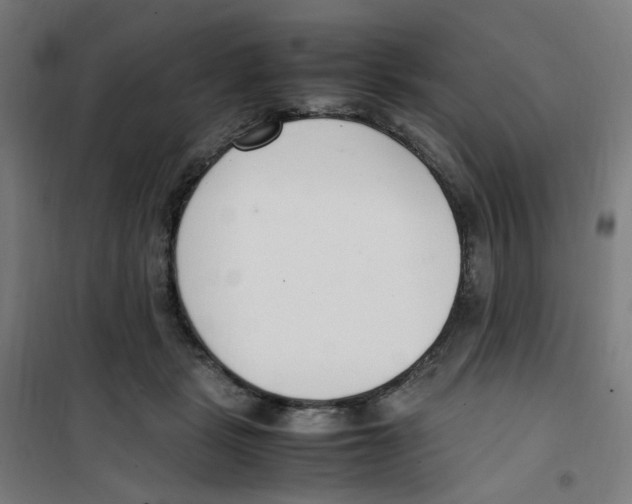 X0000100340461200807031302