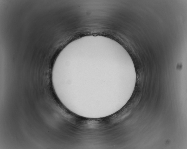 X0000100340462200807031302