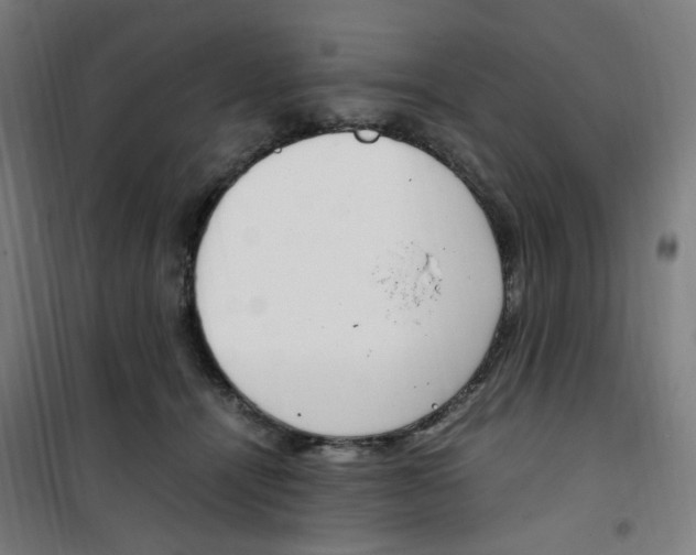 X0000100340464200807031302