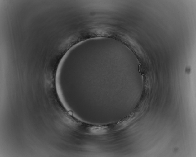 X0000100340465200807031302