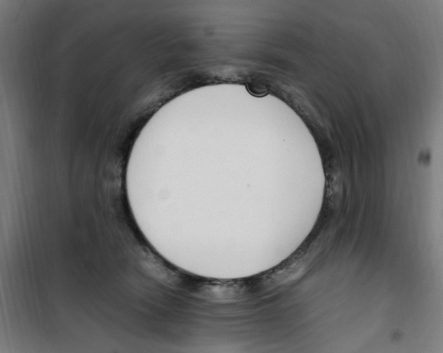 X0000100340466200807031302