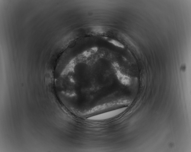 X0000100340467200807031302