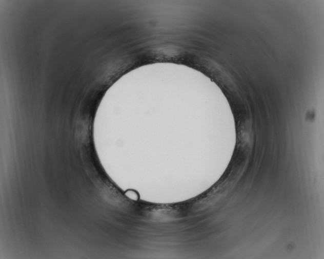 X0000100340468200807031302