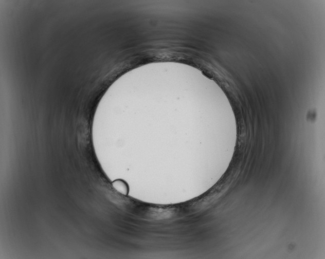 X0000100340469200807031302