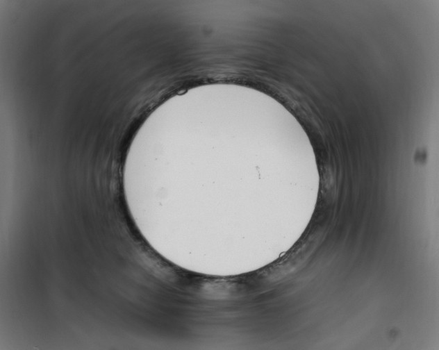 X0000100340470200807031302