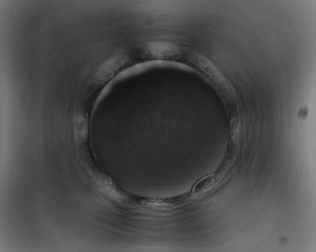 X0000100340471200807031302