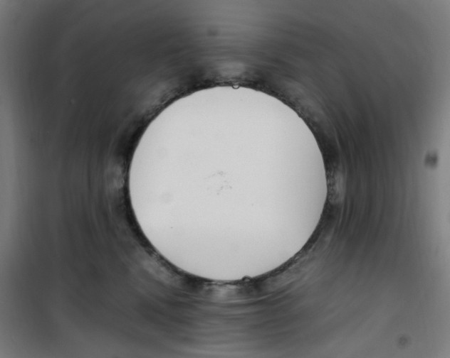 X0000100340472200807031302