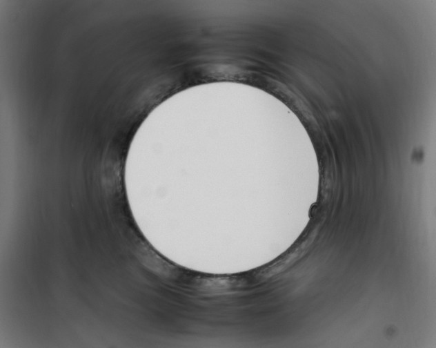 X0000100340473200807031302