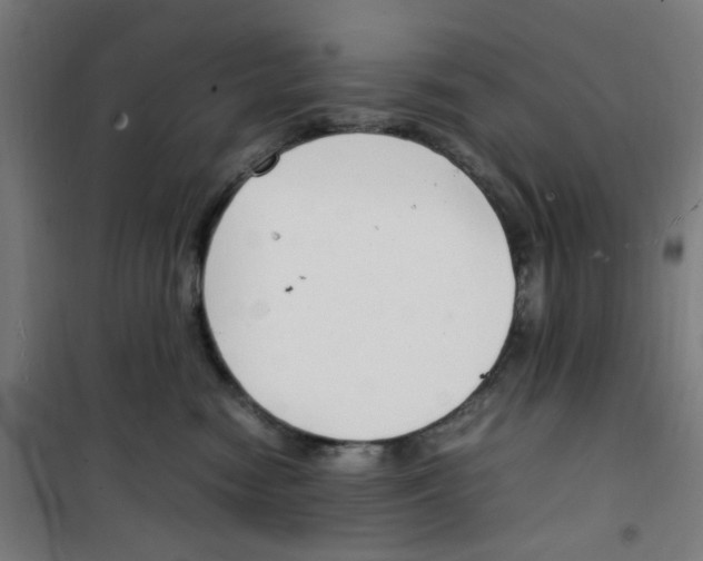 X0000100340474200807031302