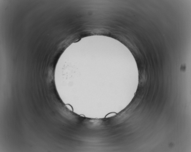 X0000100340478200807031303